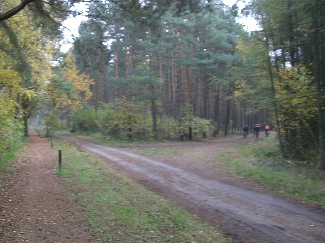 CTF Celle Strecke 074